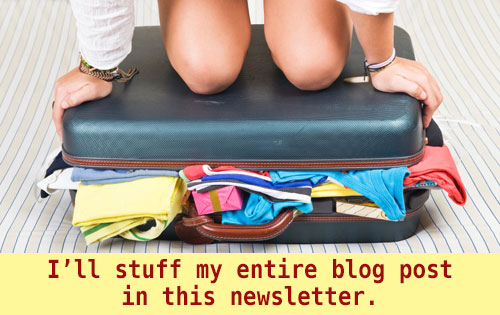 How much information to put in your newsletter - ZoeSnyder . com